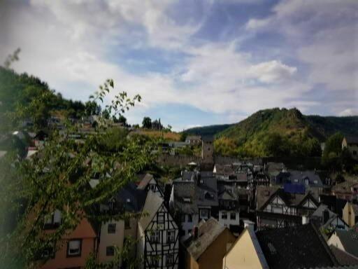 Zum Froehlichen Weinberg Otel Cochem Dış mekan fotoğraf